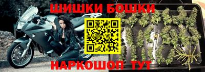 spice Будённовск