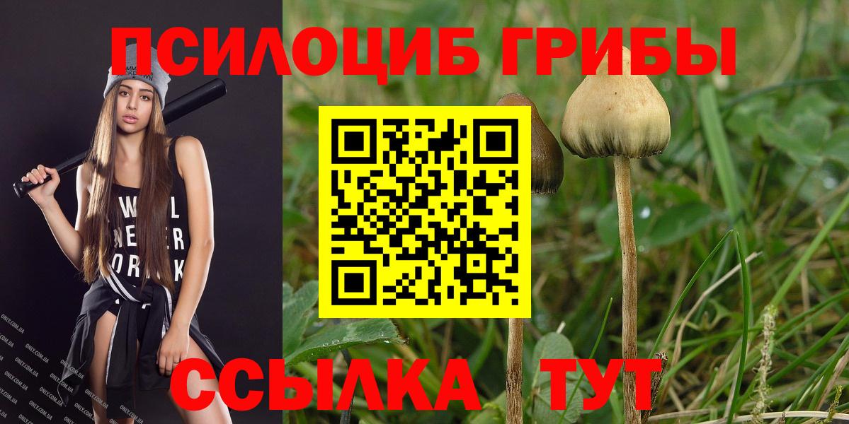 Галлюциногенные грибы ЛСД Советский