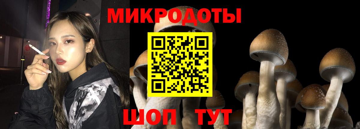 Псилоцибиновые грибы GOLDEN TEACHER  Вход с VPN  Советский 